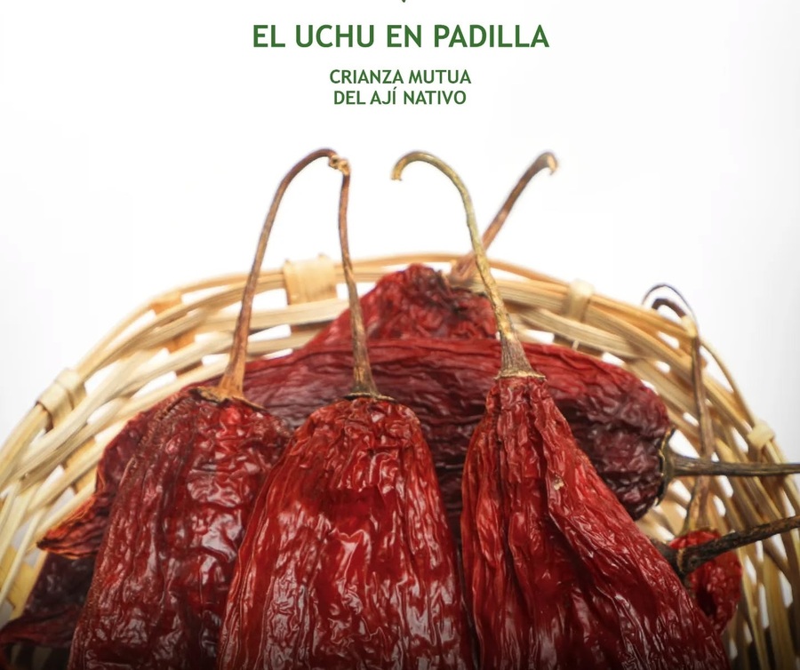 Presentan catálogo "El Uchu en Padilla” que propone mirar al ají como expresión viva de crianza mutua