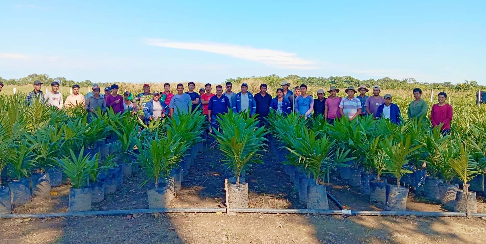 En Beni entregan más de 2.000 plantines de palma aceitera para la producción de biodiésel