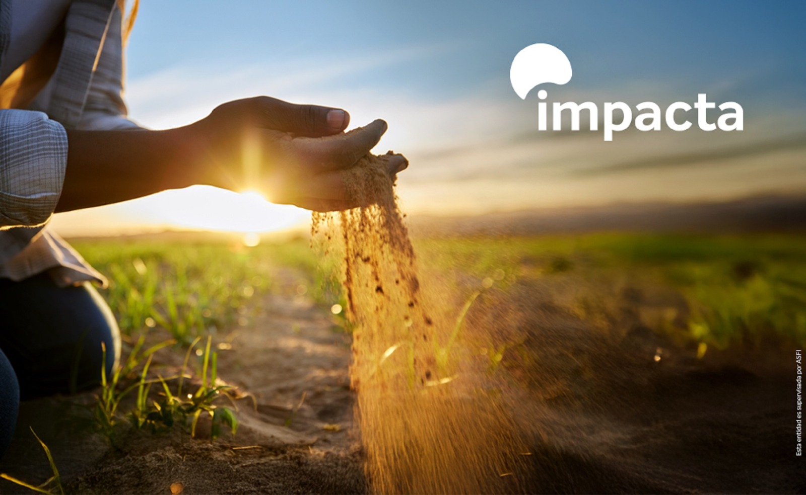 Presentan “Impacta”, programa insignia de acción climática con enfoque social transformador