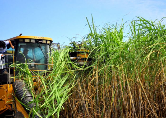 Ministro Montenegro asegura que la exportación de soya y buenos precios de minerales traerán dólares