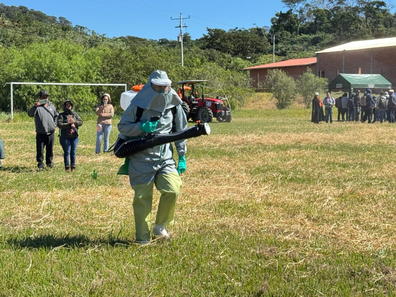Nueve países acuerdan crear una red de vigilancia contra la plaga de la langosta sudamericana