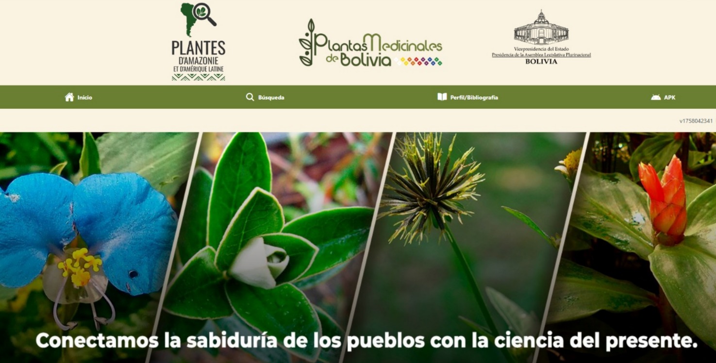 Vicepresidencia lanza web y aplicación sobre plantas medicinales para preservar saberes ancestrales