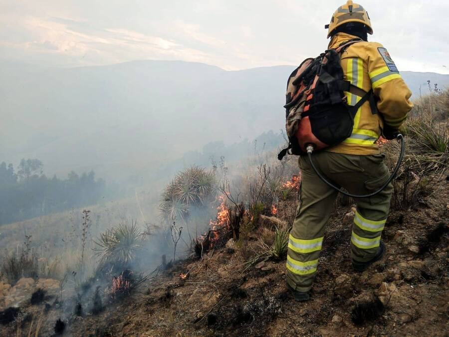 Defensa Civil declara control total de incendios forestales en Bolivia