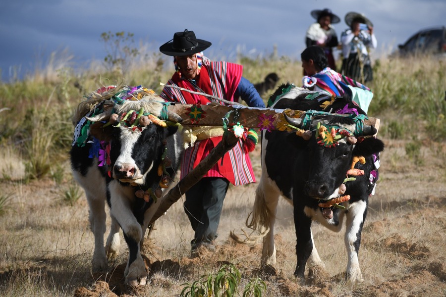 Concurso Letras e Imágenes de Nuevo Tiempo selecciona a 19 ganadores de 300 propuestas sobre el Bicentenario