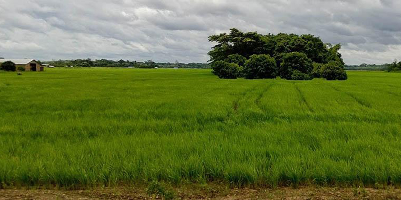Tierras fiscales en el norte amazónico. Foto RRSS