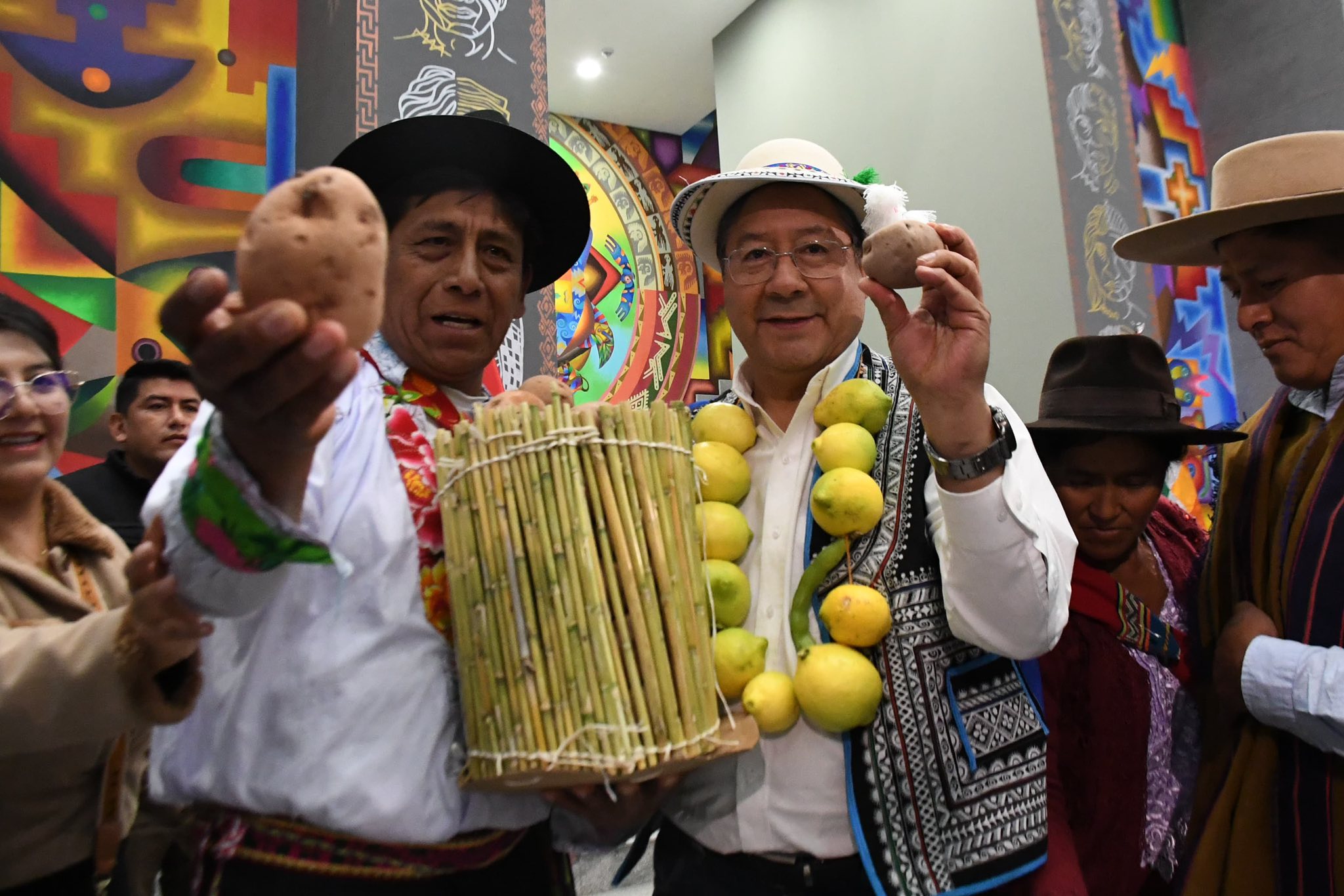 Arce promulga ley que incorpora a la Red Vial Fundamental ruta que une a Chuquisaca, Potosí y Tarija