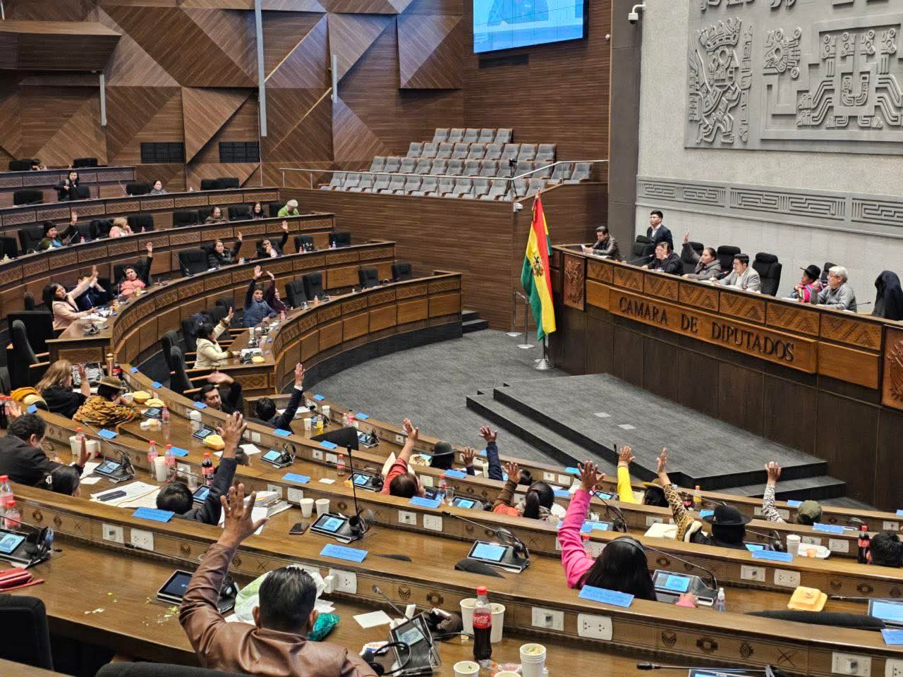 Gobierno advierte que el daño ya fue hecho por el freno del Legislativo a 19 créditos por más de $us 1.667 millones 