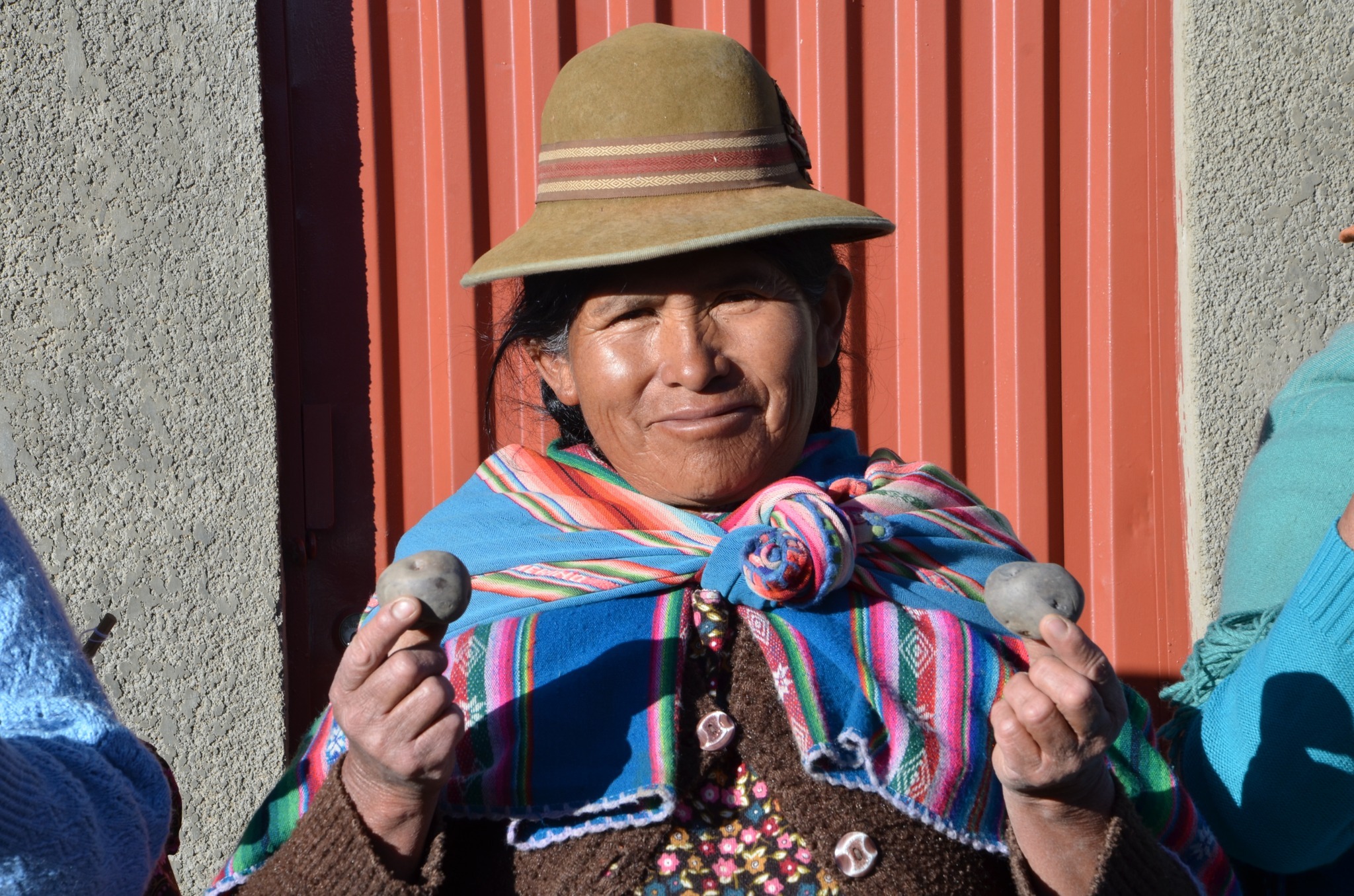 Desarrollo Rural mejora la producción y venta de papa y piña en Santiago de Collana, Cosmini y Ascensión de Guarayos