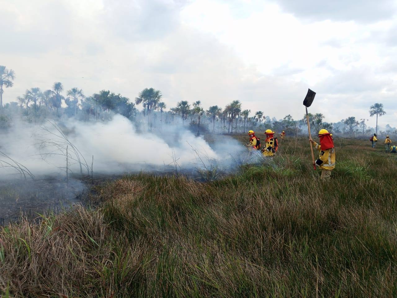 Acción coordinada permite contener fuego forestal en Chaco Viejo – La Pampa
