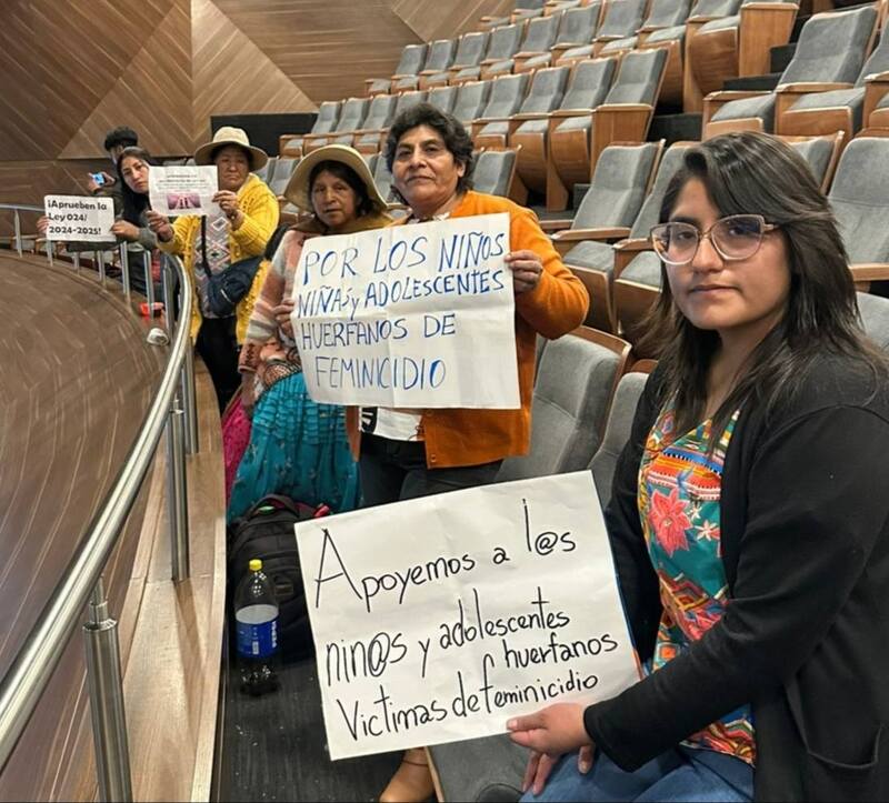 Diputados aprueban Ley 024 para proteger a huérfanos de feminicidio; activistas exigen promulgación antes del cambio de Gobierno