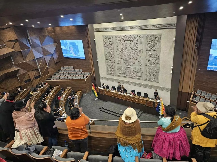 Diputados aprueban Ley 024 para proteger a huérfanos de feminicidio; activistas exigen promulgación antes del cambio de Gobierno