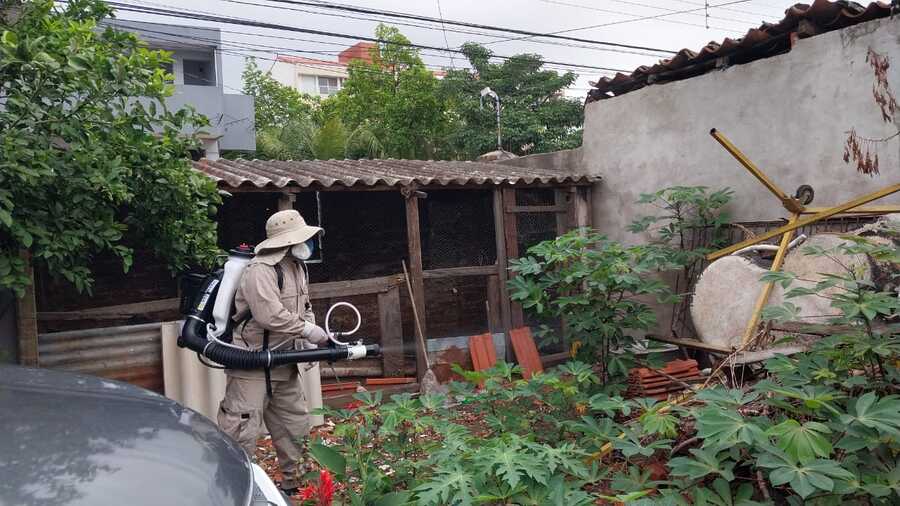 Salud mantiene vigilancia activa y refuerza el control del mosquito transmisor del dengue ante la época de lluvias