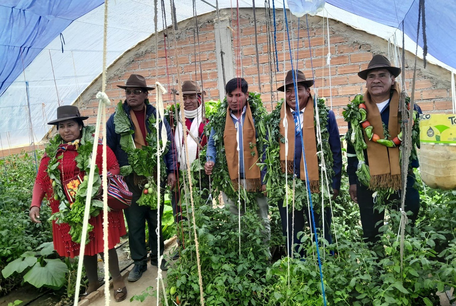 En Oruro entregan 81 invernaderos con más de Bs 2,4 millones de inversión