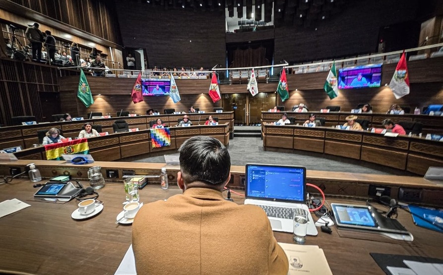 Senado sanciona Ley para huérfanos por feminicidio que garantiza bono mensual, salud, educación y apoyo psicológico