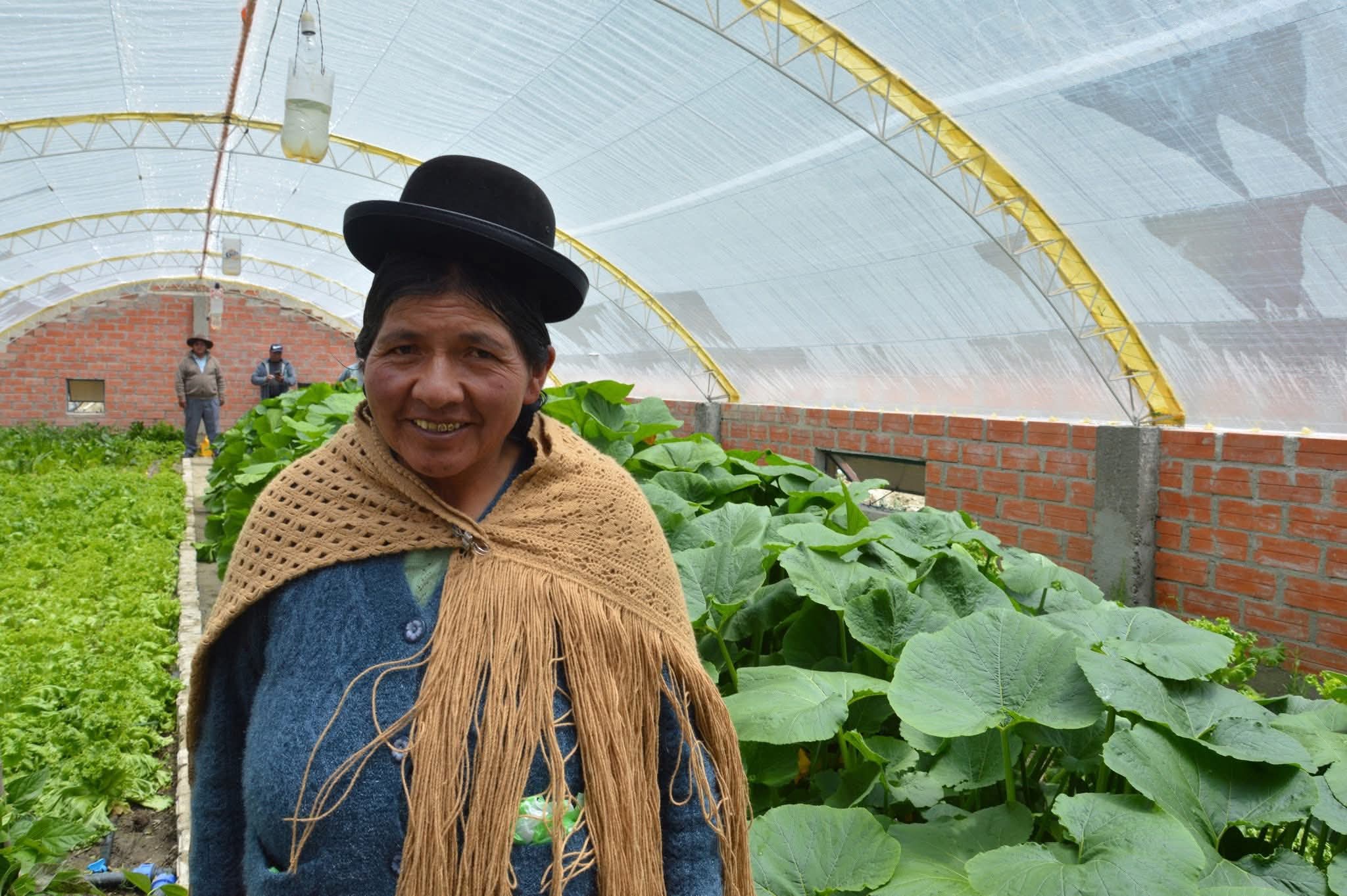 En Achocalla entregan 74 invernaderos para producir 108 toneladas de hortalizas al año