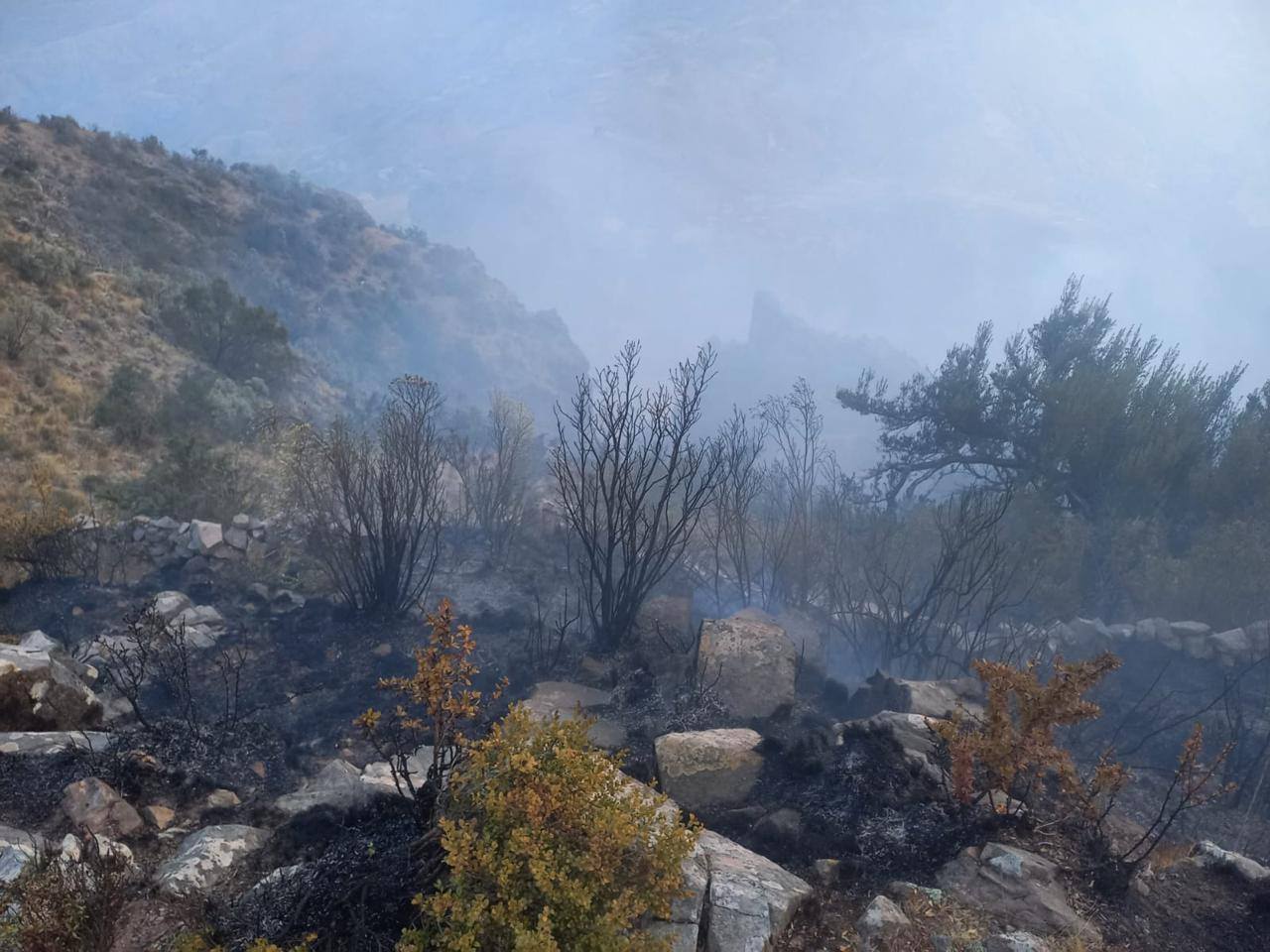 Incendio en Torotoro destruye 8 viviendas y causa la muerte de una madre de familia
