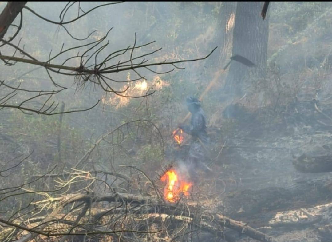 Bolivia mantiene un solo incendio forestal activo en Ñembi Guasu, Santa Cruz
