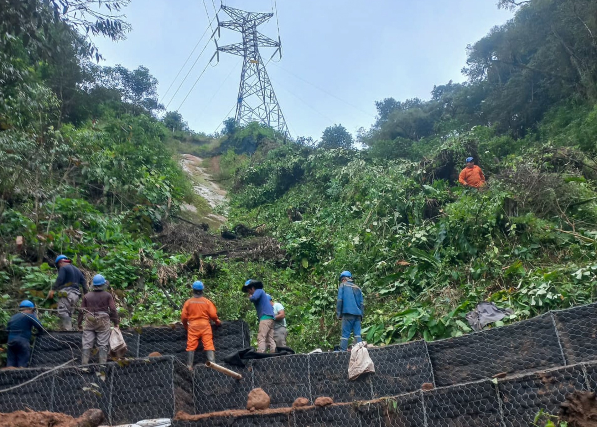 ENDE refuerza línea de transmisión Angostura–Bermejo para garantizar el suministro eléctrico en Tarija