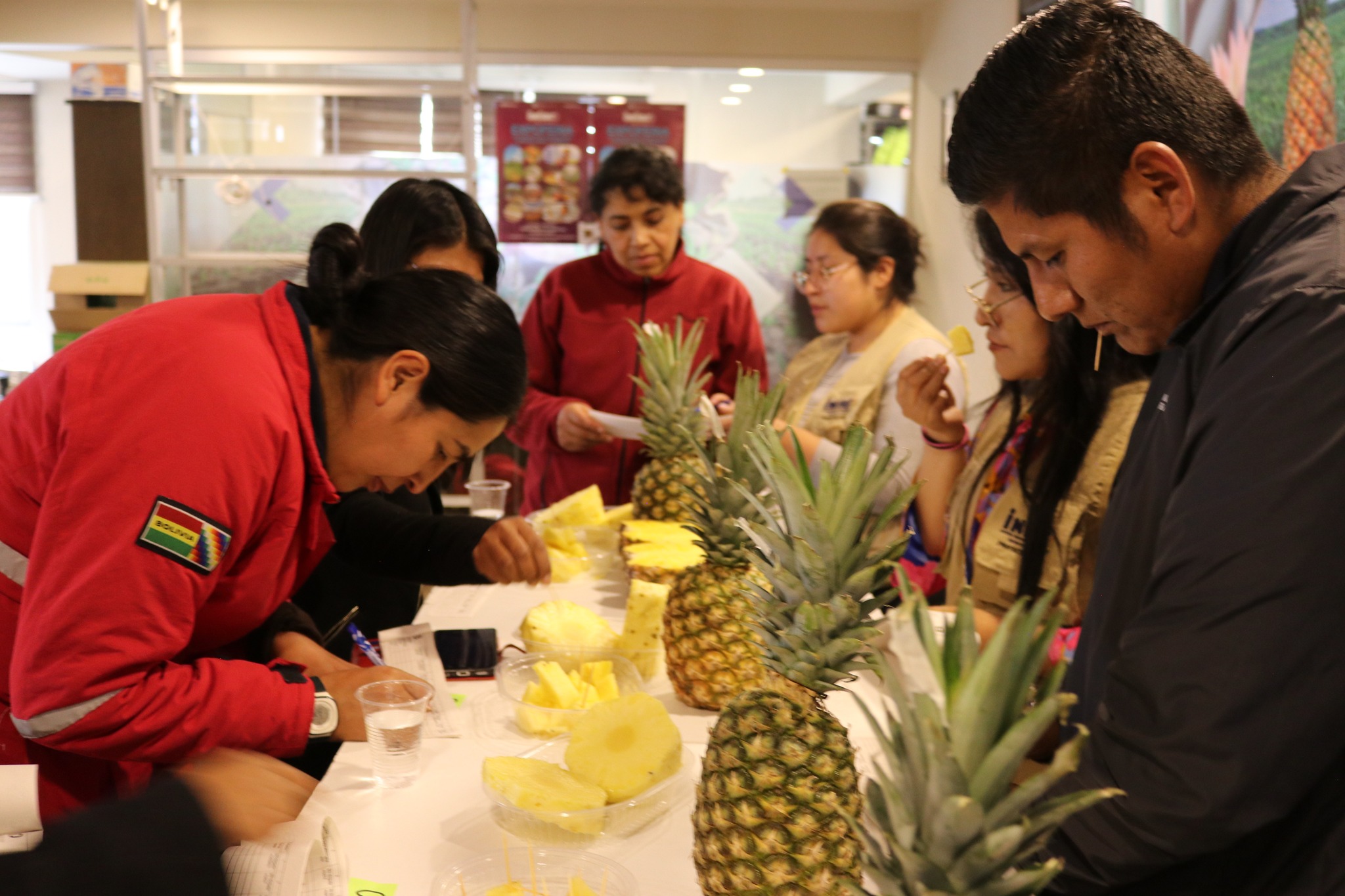 Irradiación gamma prolonga la vida útil de la piña por más de 15 días
