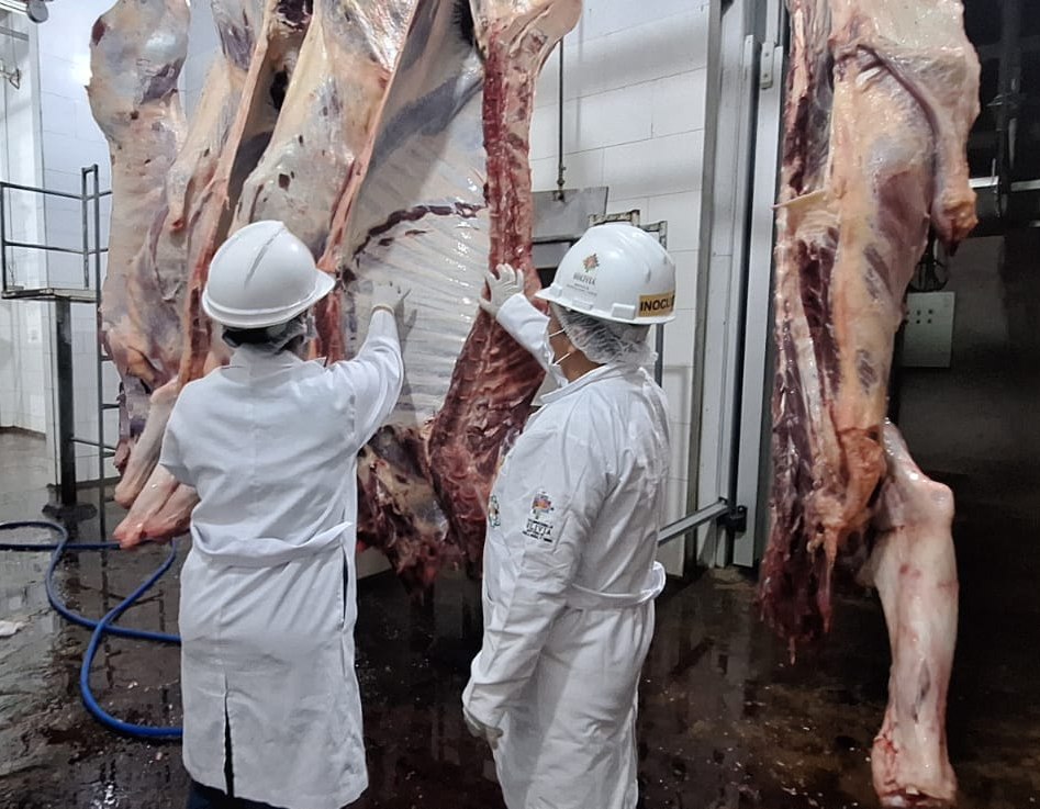 Exportaciones de carne bovina crecen en 91,3% en julio y llegan a $us 33,2 millones 