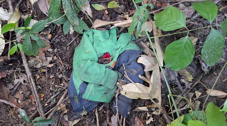 Capturan a tercer implicado en el asesinato de una familia en el trópico de Cochabamba