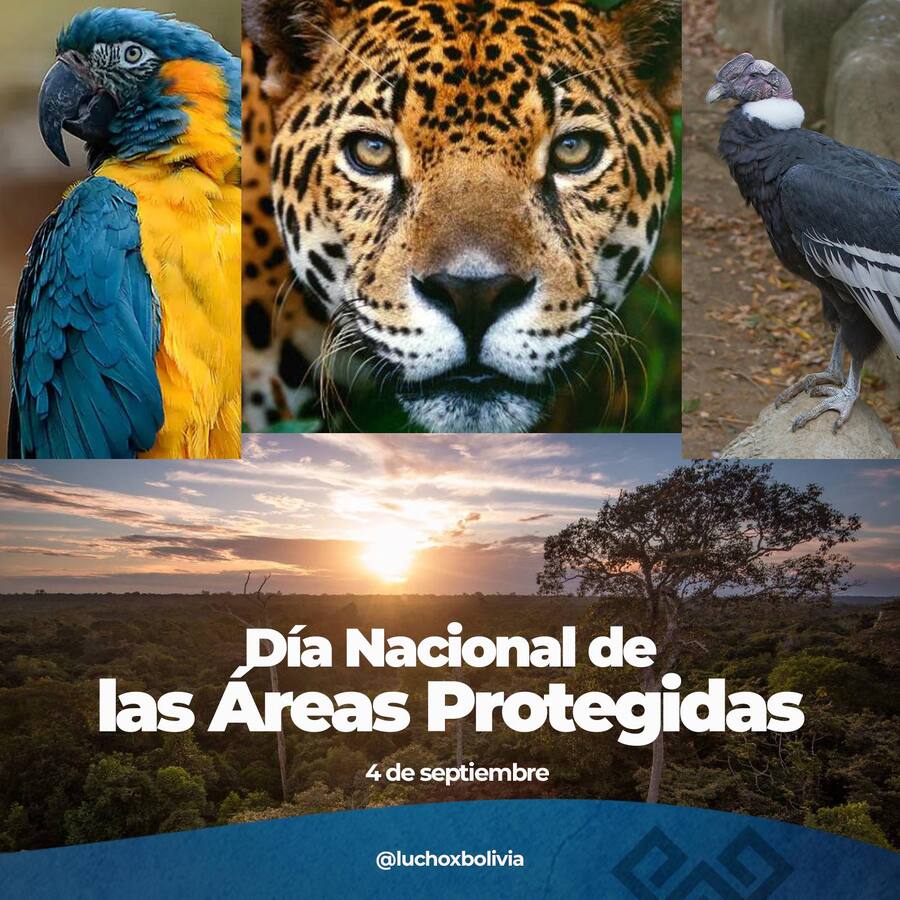 Arce reafirma compromiso con la protección y el cuidado de la biodiversidad en el Día de las Áreas Protegidas
