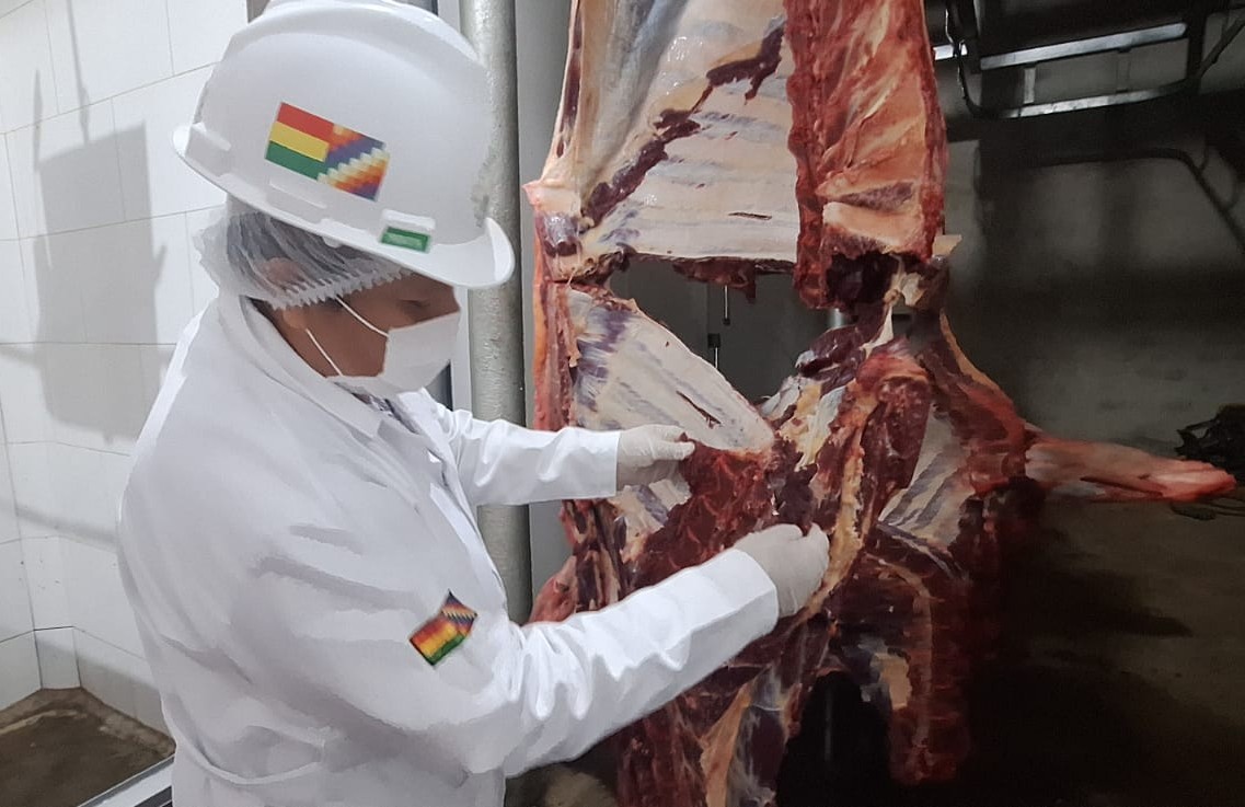 Bolivia logra apertura del mercado de Egipto para la carne bovina y aviar
