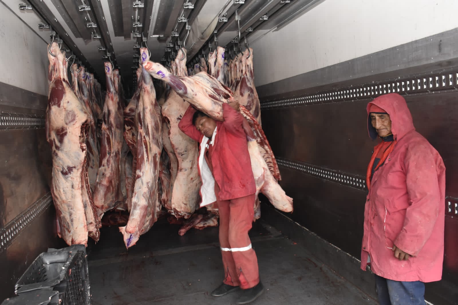 Bolivia cuenta con 100.000 toneladas de carne de res listas para exportar a Egipto