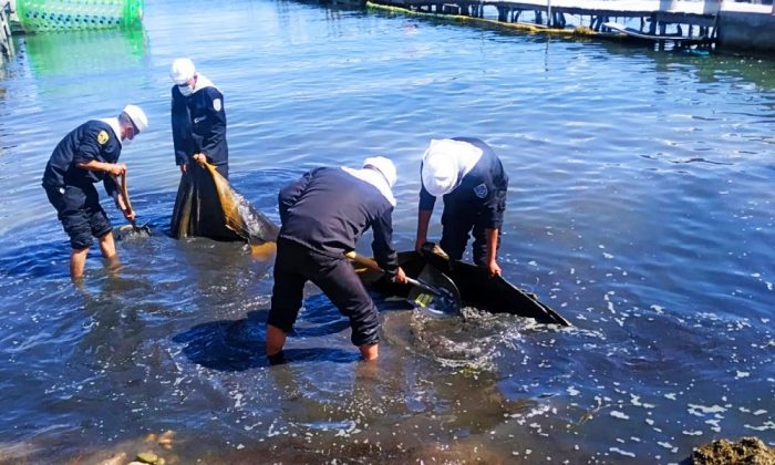 Bolivia lanza campaña nacional de limpieza de playas y reafirma su compromiso con el medio ambiente