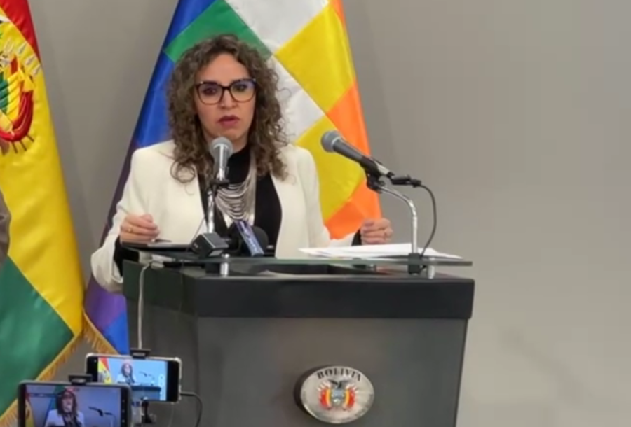 Ministra Castro afirma que declaraciones de diputada chilena carecen de sustento científico