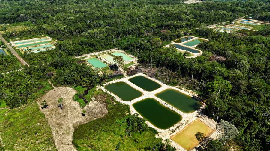 En Cochabamba entregan 168 pozas piscícolas para la crianza de 168 peces pacú y tambaquí