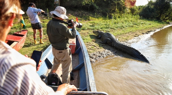 Jesús, el caimán negro de casi cuatro metros. Foto Viceministerio de Turismo