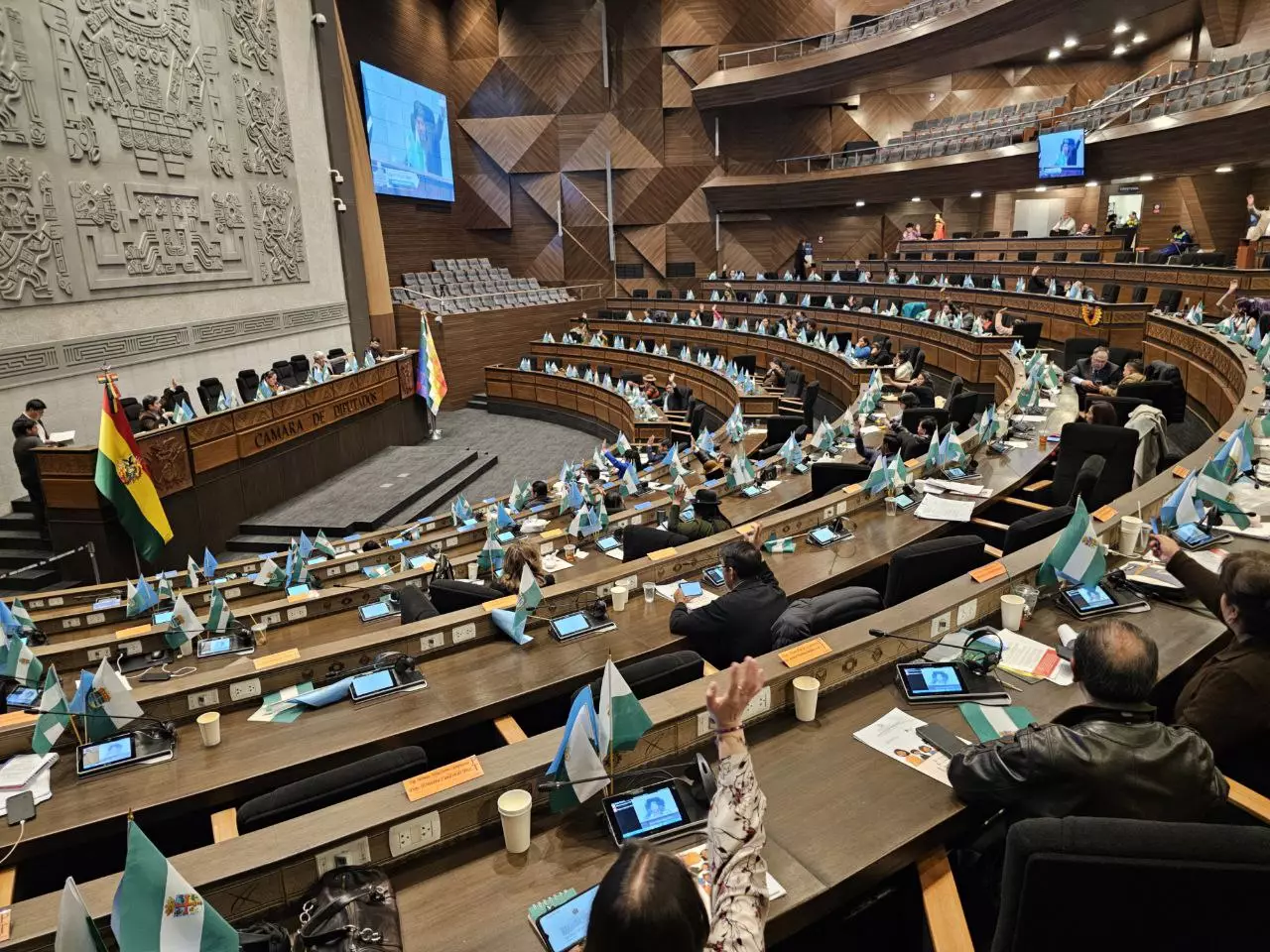 Asamblea Legislativa Plurinacional. Foto ALP