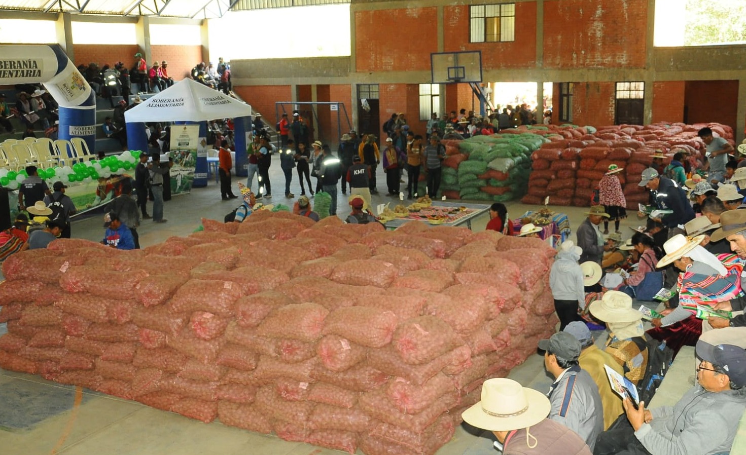 Agricultores de Arque y Tapacarí reciben semilla de papa certificada