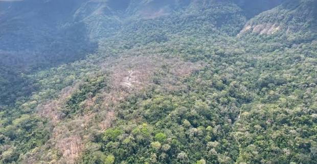 Ministro apunta a la minería ilegal y narcotráfico como causantes de incendios en el Parque Noel Kempff Mercado