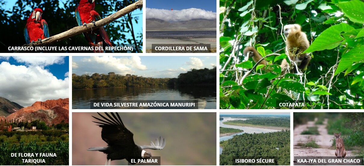 Las Áreas Protegidas son espacios territoriales con gran afluencia del turismo. Foto Sernap