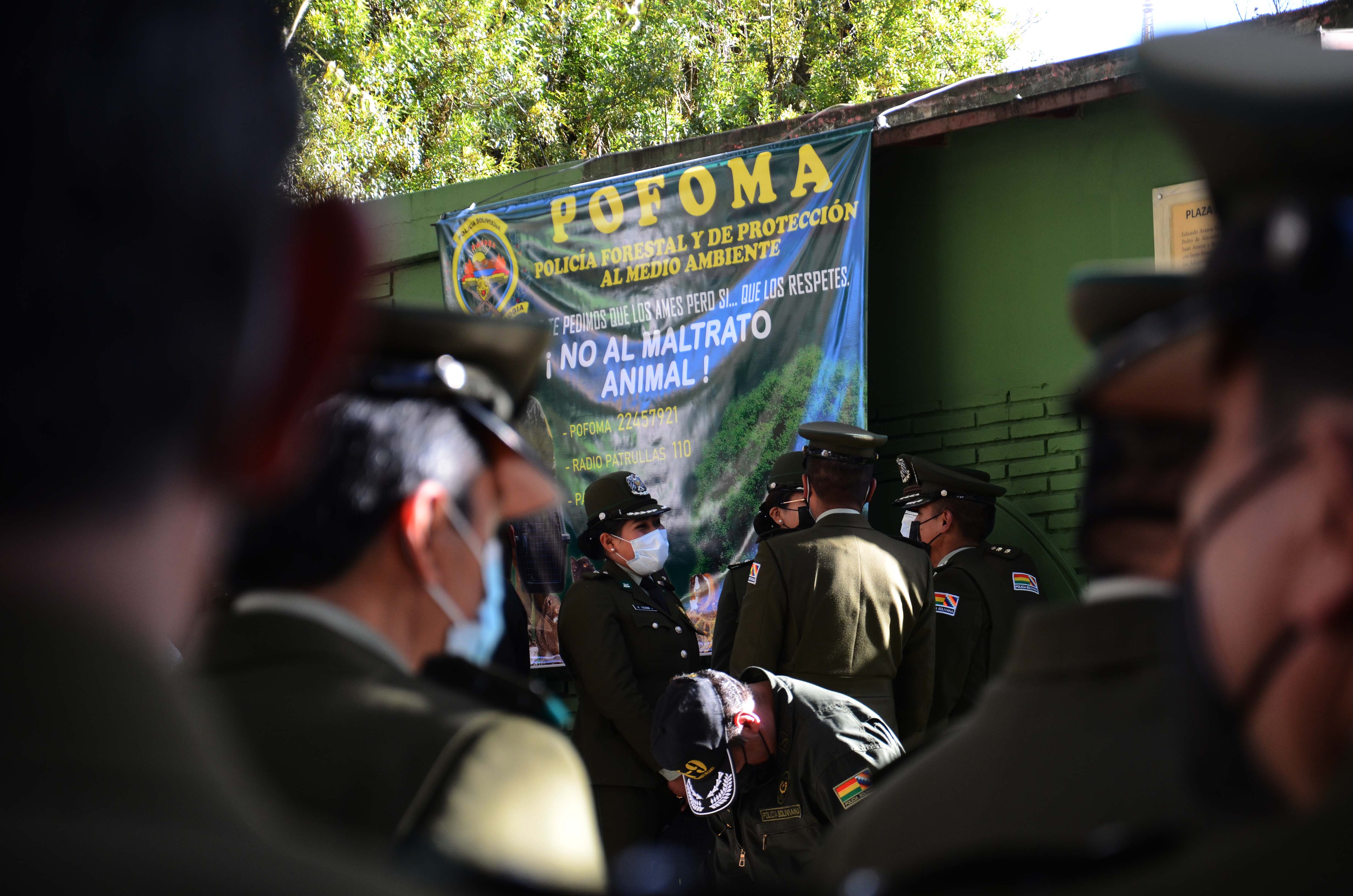 Citan a propietarios de un perro por presunto biocidio en Cochabamba