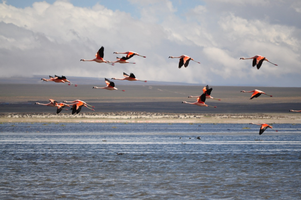 Reserva Cordillera de Sama celebra 32 años y requiere reforestación para mantenerse como la fuente de vida de Tarija