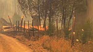 Incendios forestales: Gobierno boliviano expresa su solidaridad con Chile