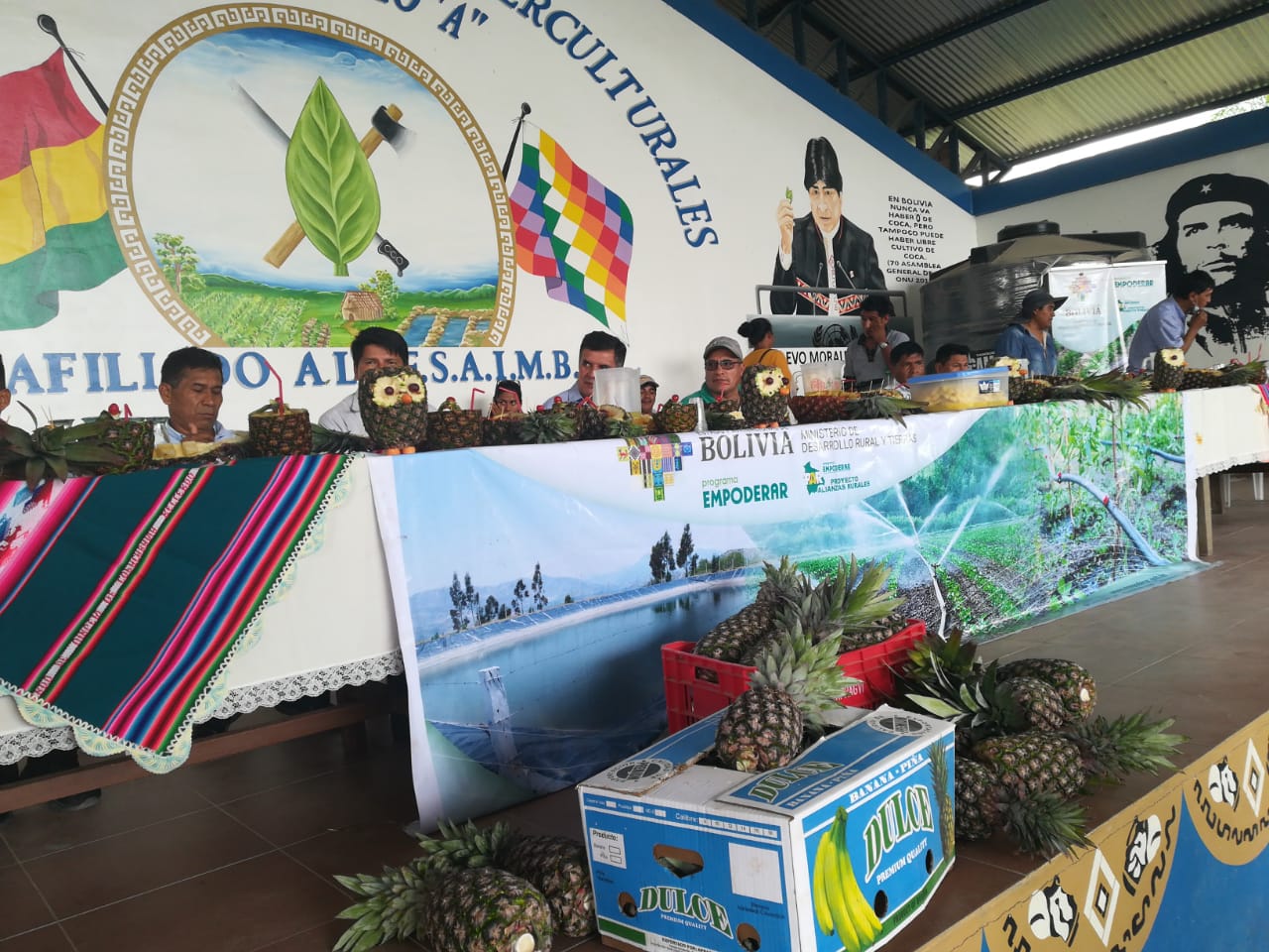 Gobierno invierte Bs 1,4 millones en la construcción de puentes en el trópico de Cochabamba