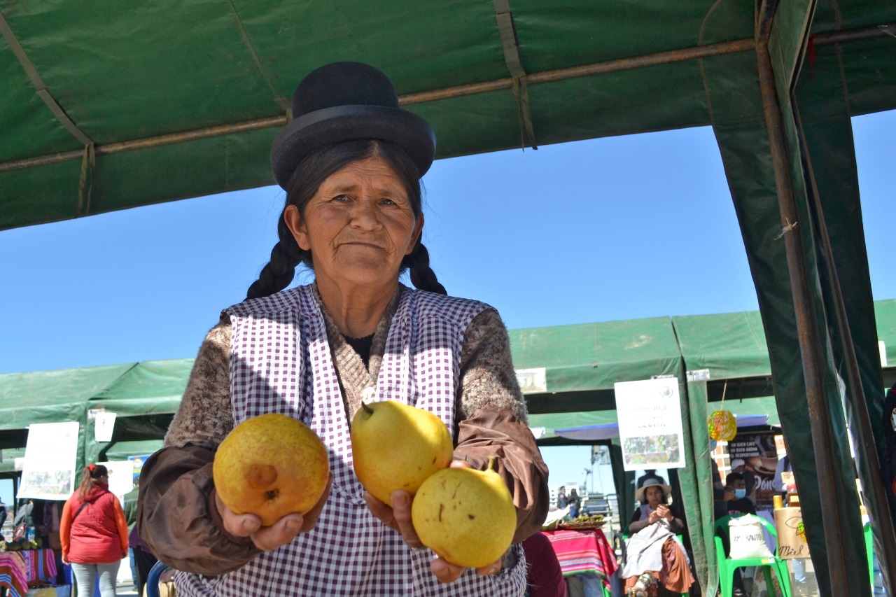 Gobierno promueve reactivación de sectores productivos rumbo a la soberanía alimentaria