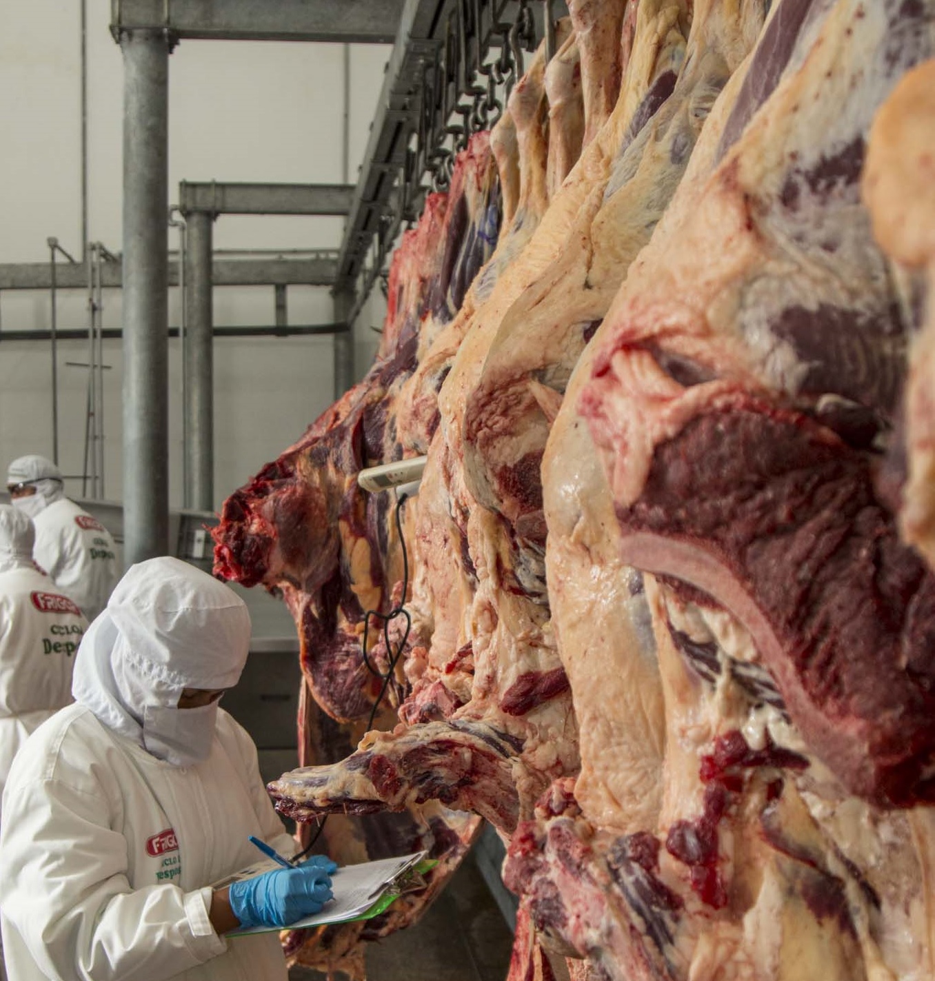 Exportación de 18.560 toneladas de carne bovina a China, Hong Kong, Ecuador y Perú alcanza a $us 120 millones 
