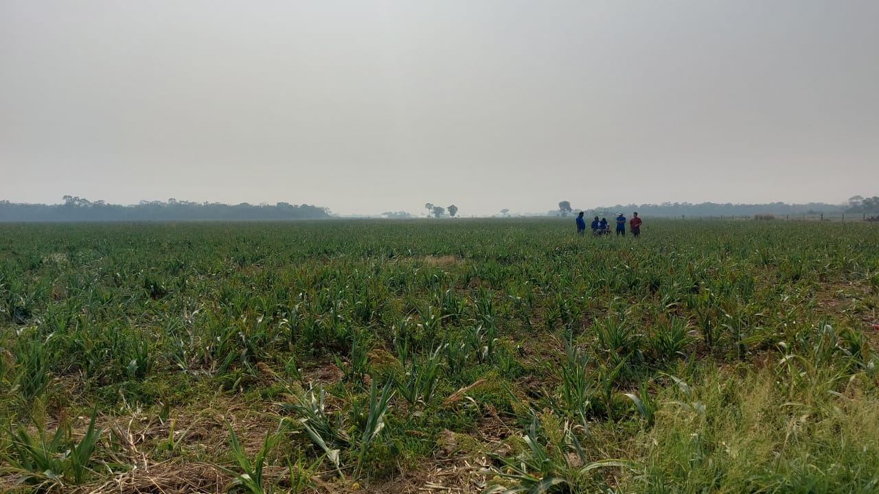 Gobierno rechaza avasallamientos de tierras, pide investigación y sanciones 