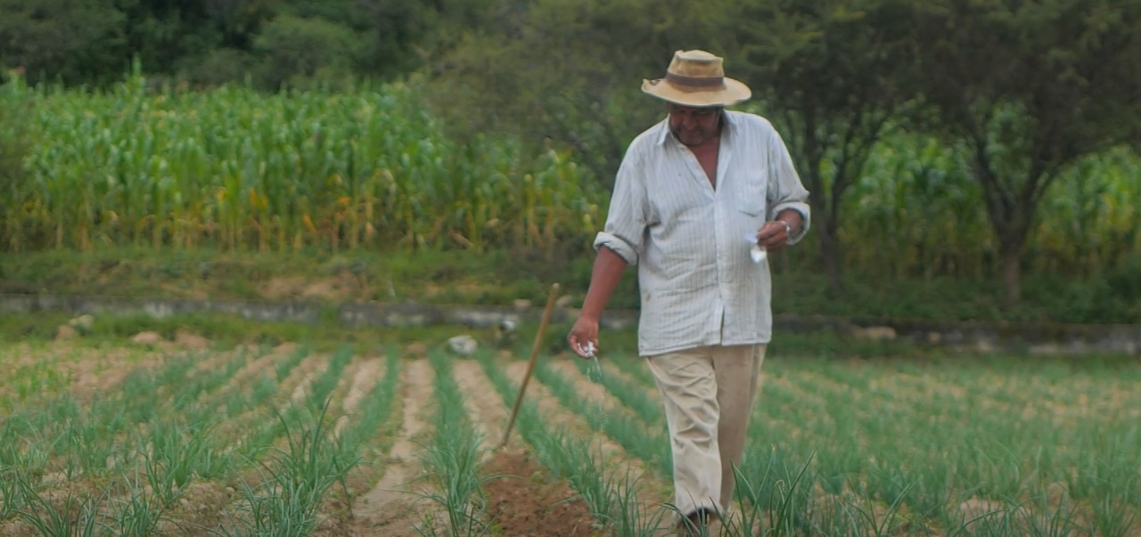Planta NPK fabricará composiciones de fertilizantes que incrementan la productividad de cultivos 