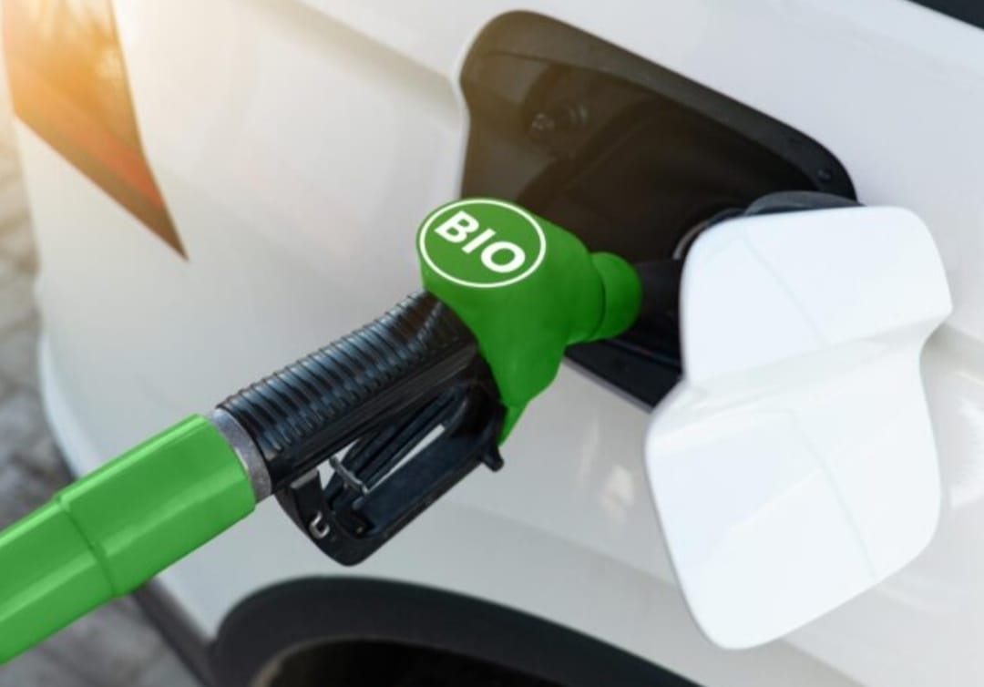 Plantas de biodiésel permitirán sustituir hasta el 45% de las importaciones de carburantes