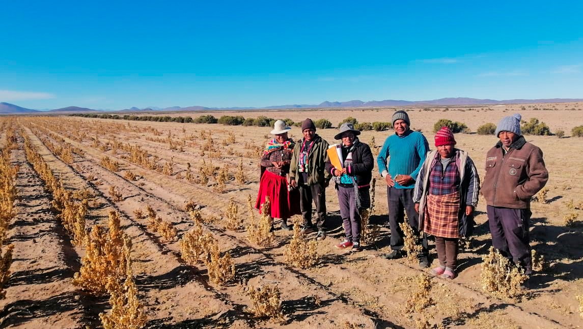 Gobierno inyectará recursos a Defensa Civil para ayudar a 11 mil familias que perdieron sus cultivos a causa de las heladas 