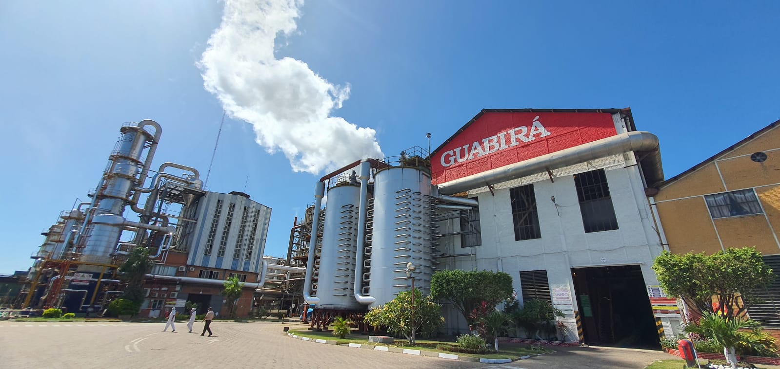 Guabirá proyecta producir 2,3 millones de quintales de azúcar y 140 millones de litros de alcohol 