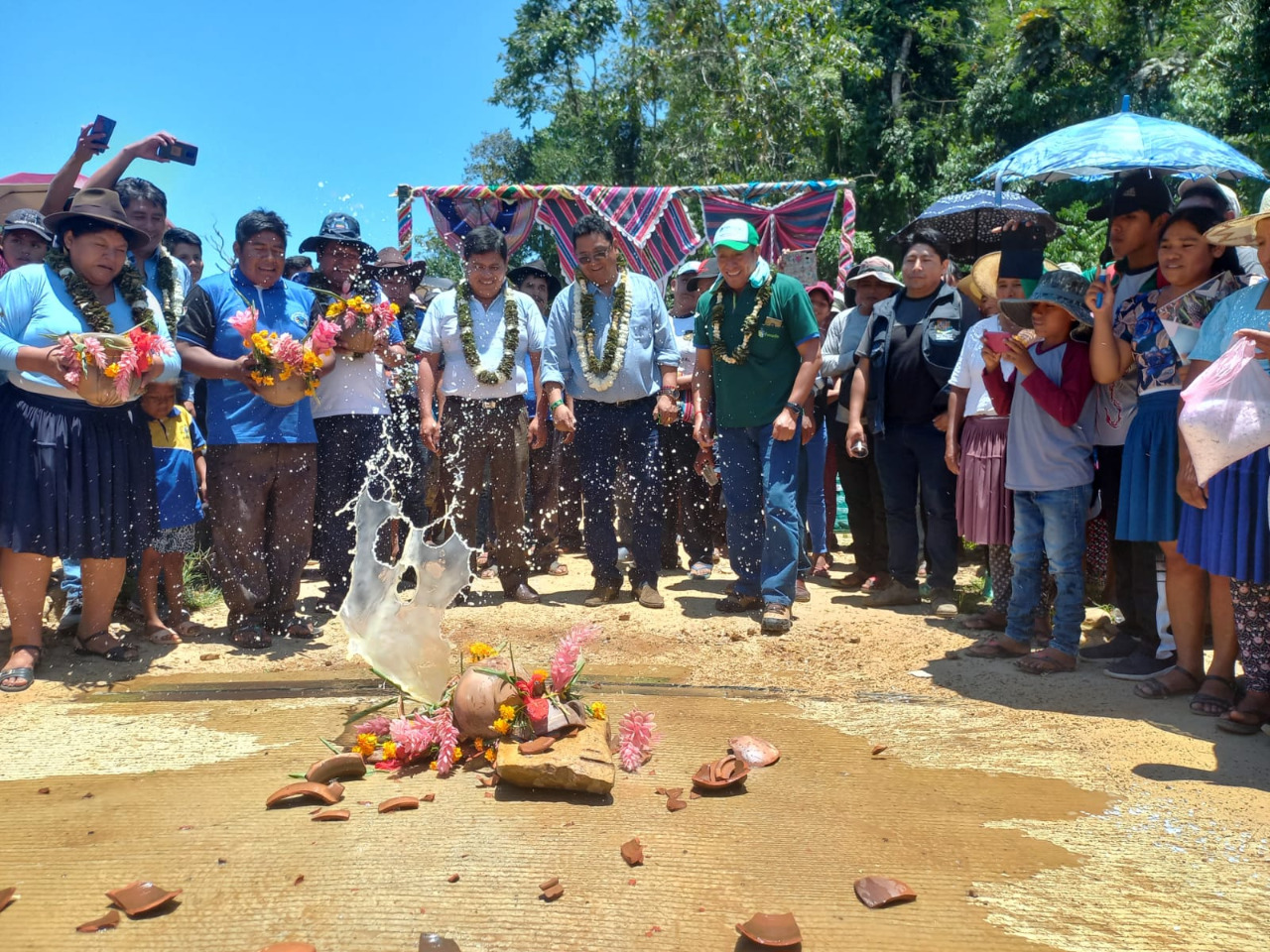 Gobierno entrega 232 torillos para engorde en beneficio de 483 familias de Puerto Villarroel