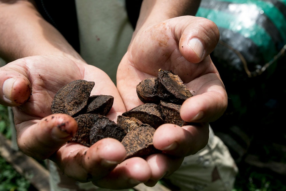 El BDP aporta al desarrollo de Beni con créditos por más de Bs 120 millones hasta octubre