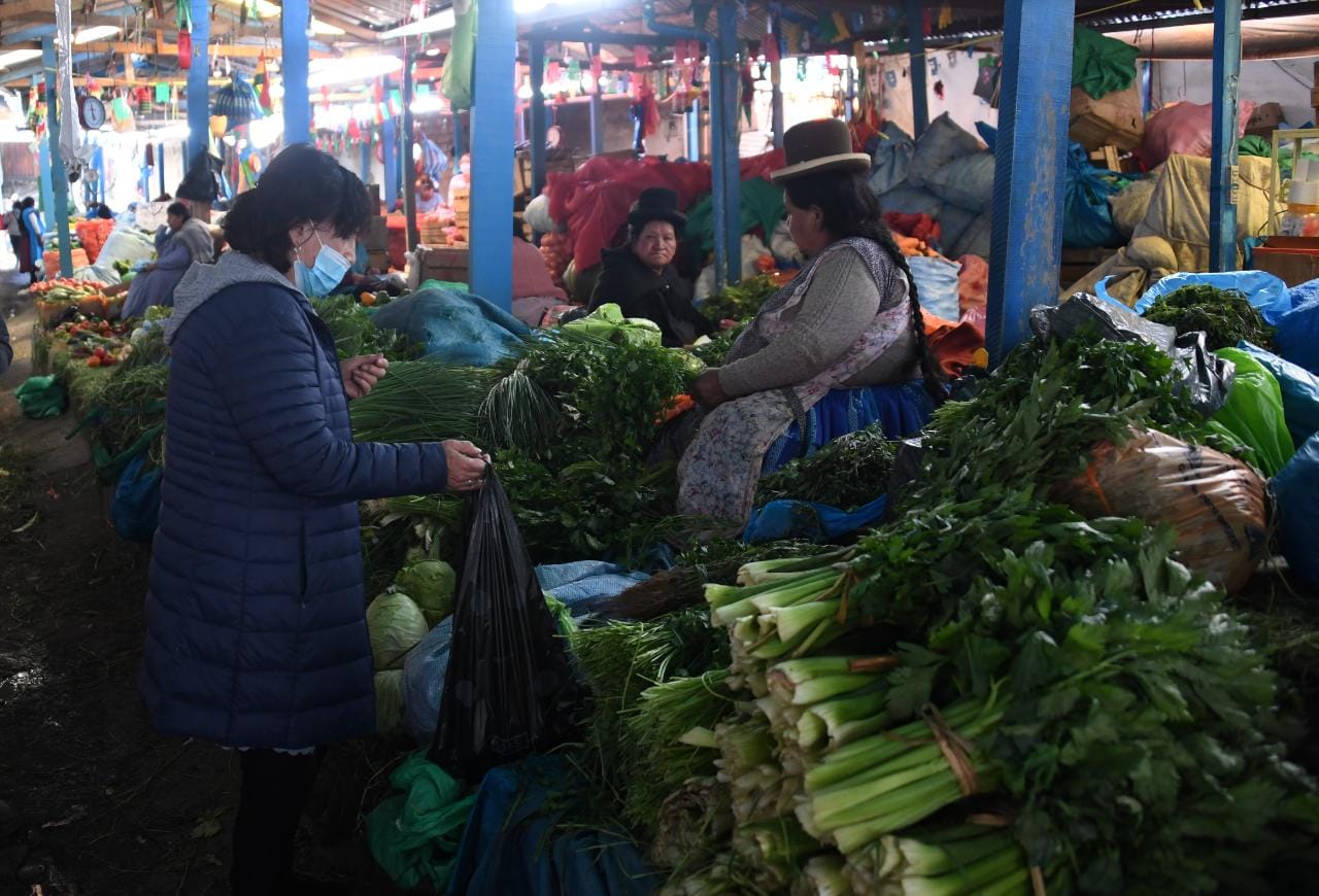 Bolivia aplica medidas “adecuadas” para alcanzar una inflación reducida de 1,55% a agosto, destaca analista